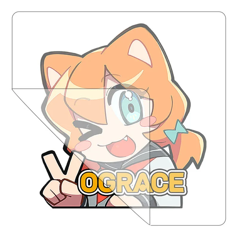 Custom Transfer Stickers